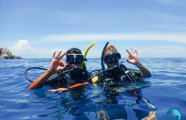 Small-Group Introductory Scuba Diving in Pula