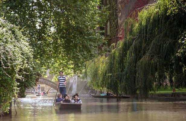 Shared Guided Punting Tour of Cambridge