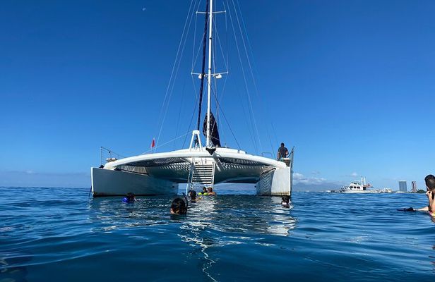 Moana’s Swim’n’Sail Cocktail Cruise Along the Waikiki Coast