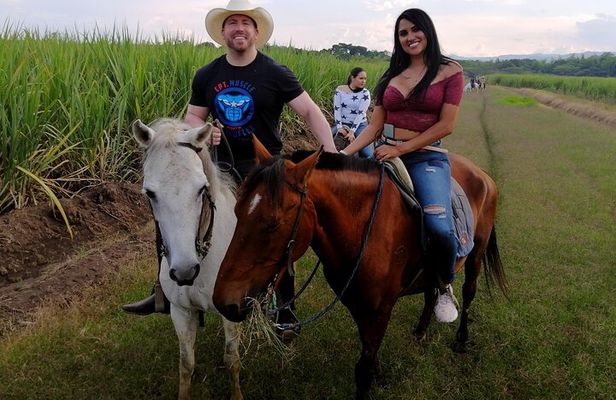 Cali: Horseback riding through beautiful landscapes and mountains