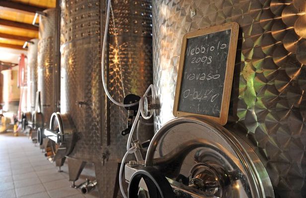 Visit and tasting of 4 D.O.C.wines Fontechiara
