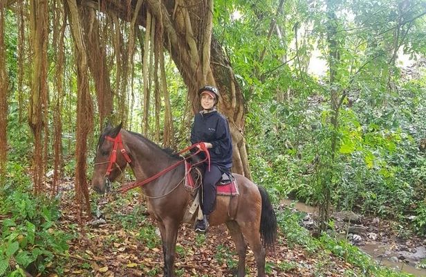 The Ultimate Dominican Horseback Riding Adventure