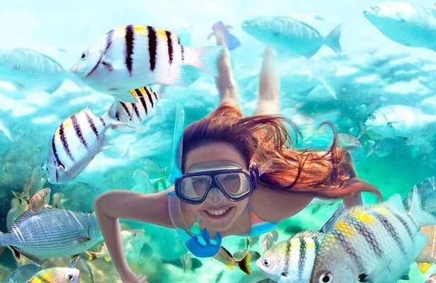 Best half-day snorkel tour: visit Kaan Luum, Yalku & Cenote