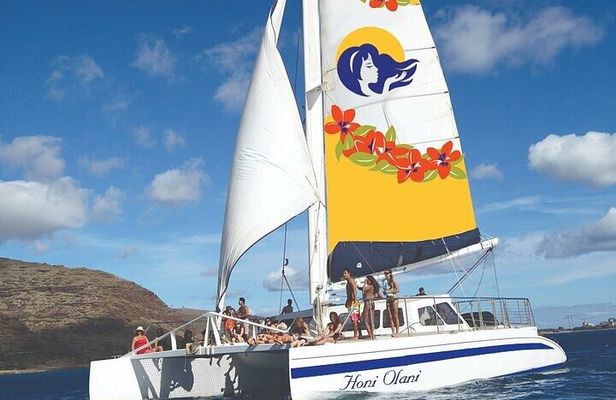 Kona Coastline Escape: Sail with Dolphins & Turtles on Honi Olani