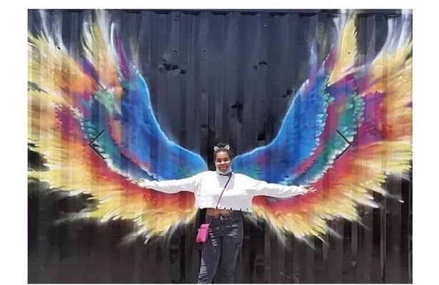 Dutch St Maarten Mural Picture Tour
