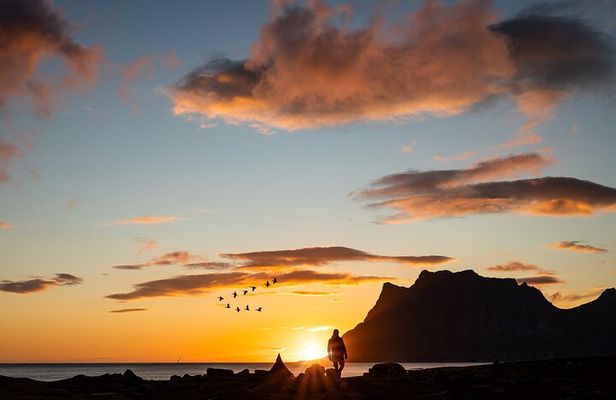Tour of the authentic fjords of Kvaløya to Sommarøy