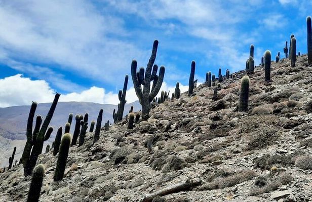 Day long Hike to Inca ruins