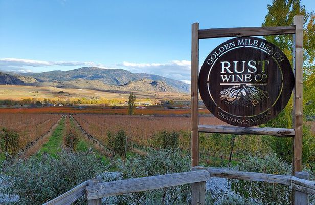 Oliver & Osoyoos Private Wine Tour - Full Day