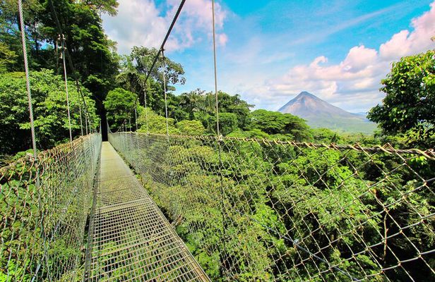 Combo Tour: Hanging Bridges + Thermal Spa in Arenal