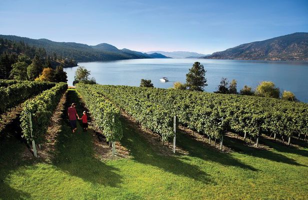 Kelowna South Slopes Wine Tour - 5 wineries on the tour
