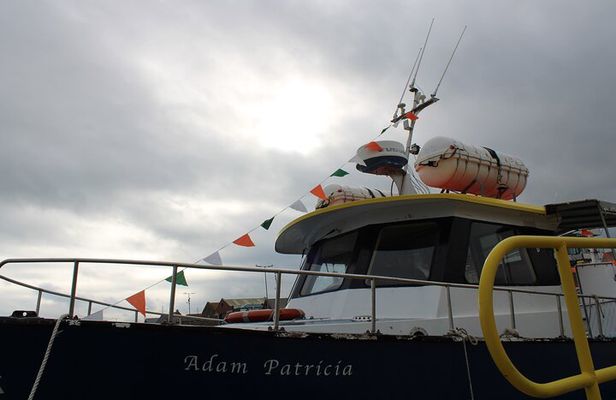Howth Cliff Cruises