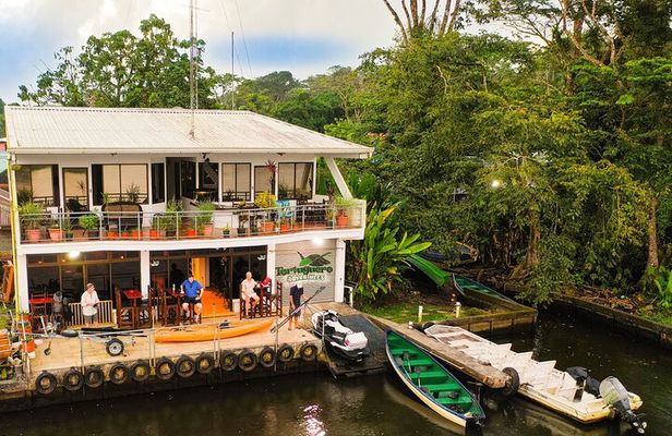 Total Tortuguero Canoe or Kayak+hike+NW(Tortugas from Jul-Oct)