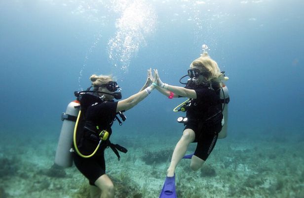 PADI Open Water Diver Course
