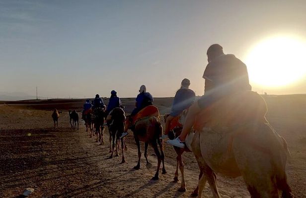 Sunset Camel Ride experience at the Agafay rocky Desert.