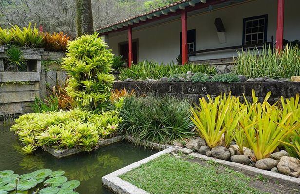 Private Half-Day Tour in Sítio Roberto Burle Marx