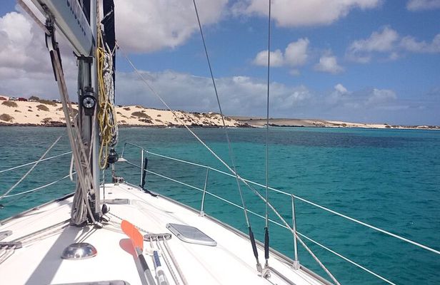 3-Hour Small-Group Sailing Tour around the Lobos Island