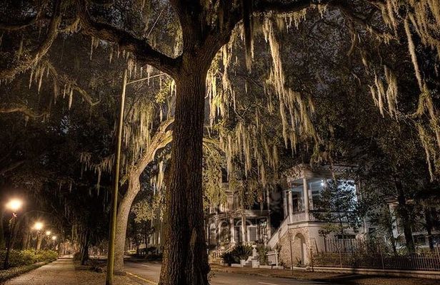 Late Night Savannah Haunted Pub Crawl