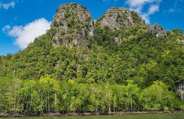 A Mangrove River Cruise on Langkawi