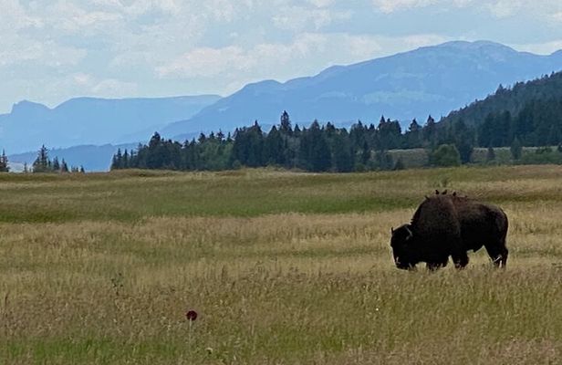 2-Person Grand Teton All-Day Private Tour
