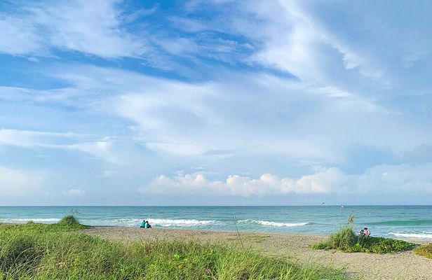 Mangroves & Hidden Beach Kayak Tour