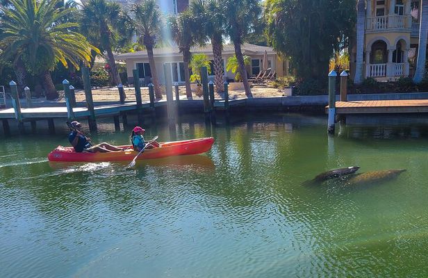 Siesta Key Kayak Tour