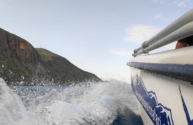 Half-Day Small-Group Boat Safari in Crete