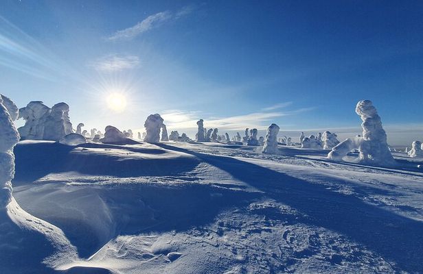 Riisitunturi National Park Snowshoeing Adventure