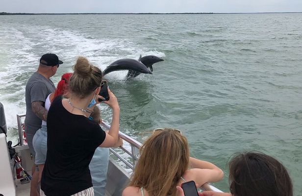 10,000 Islands Excursion Small-Group 3.5 hour Dolphin & Shelling Boat Tour 