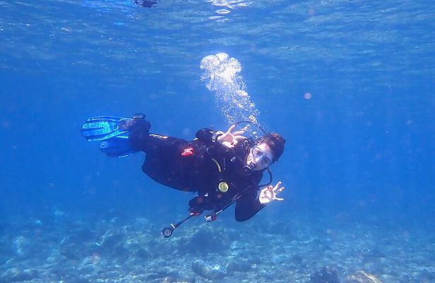 Dives Packages with Transfers in Tenerife