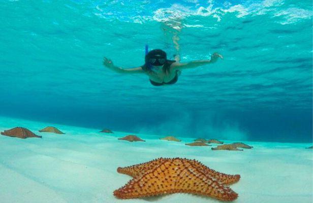 Catamaran Snorkeling to El Cielo and The Money Bar Beach Club