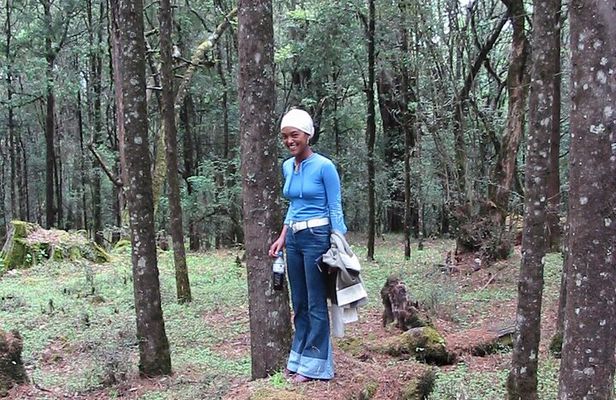 Private Menagesha Suba Forest Hiking and Sightseeing Tour