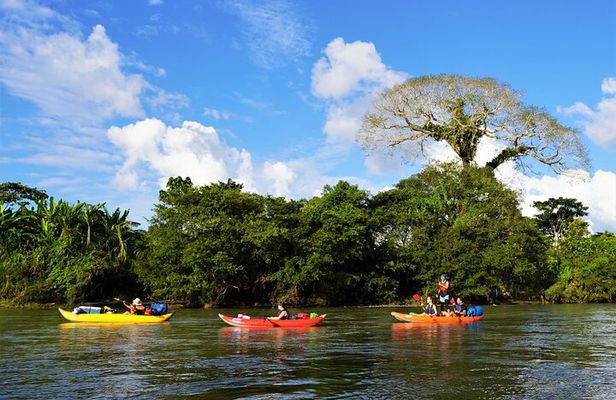 2-Day Kayaking Adventure in the Amazon