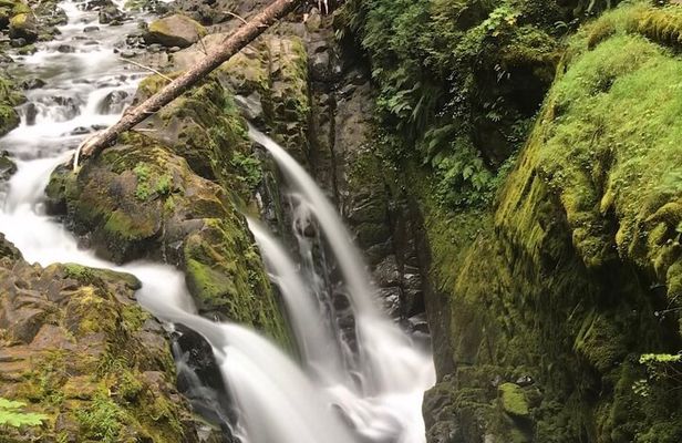 Private Olympic National Park Day Tour from Seattle