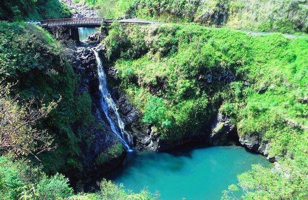 Road to Hana Private Jungle Tour
