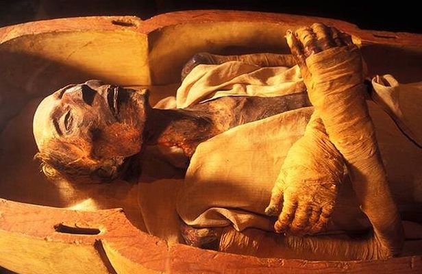  New Civilization Museum Tour (Royal Mummies)