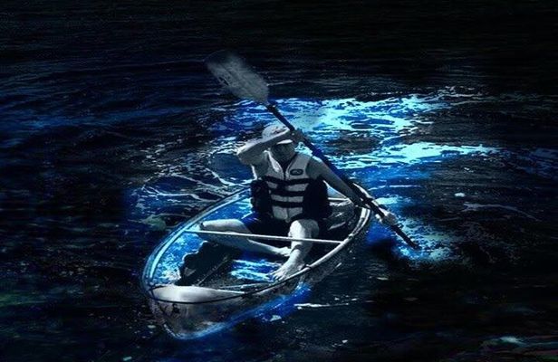 Cocoa Beach Clear Kayaking Bioluminescent Night Tour