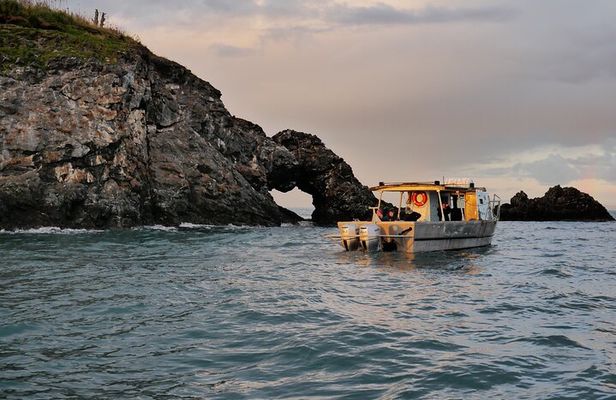 Kachemak Bay Wildlife Tour