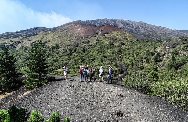 Etna Morning Tour, caves and craters