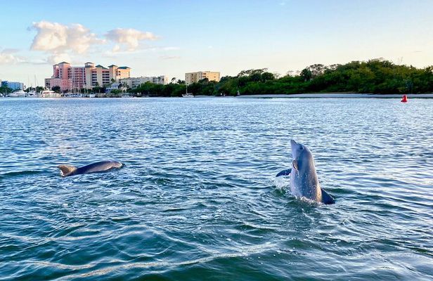Dolphin Tiki Cruise around Fort Myers Beach