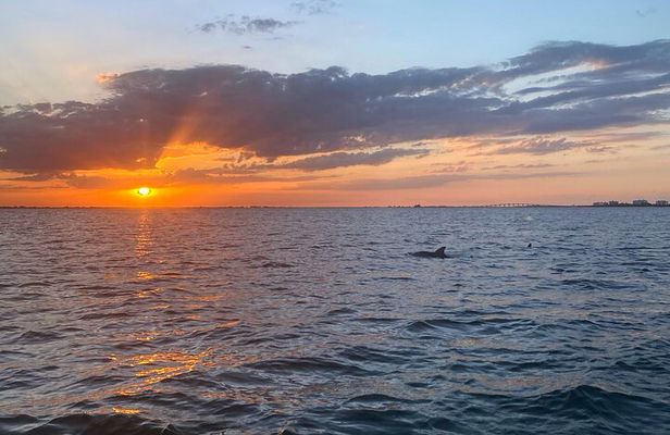 Sunset and Dolphin Cruise around Fort Myers Beach