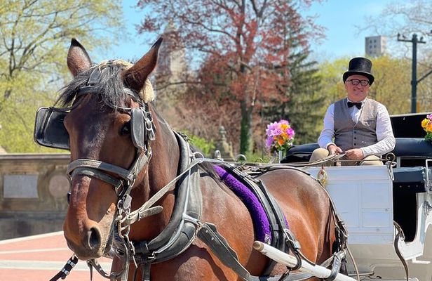 NYC Central Park Horse and Carriage Ride: Long Ride 45 min