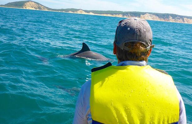 Epic Rainbow Beach Dolphin Kayak and 4WD Adventure Tour