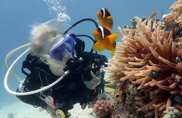 Hurghada Snorkeling Trip to Orange Bay Island