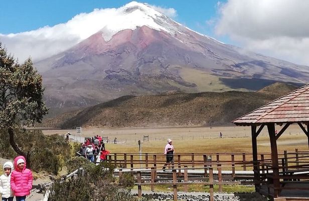 Private Tour from Quito to Cotopaxi Volcano + Rose Plantation
