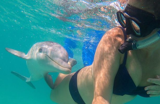 Group Reef, Beach and Sandbar Tour from Providenciales