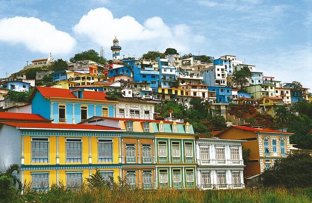 Guayaquil City Tour & Chocolate Farm with Typical Lunch PRIVATE Day Trip