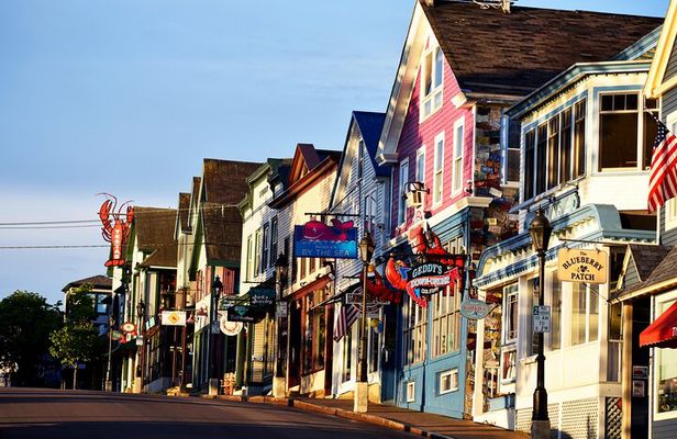 Explore all the top spots of Acadia!
