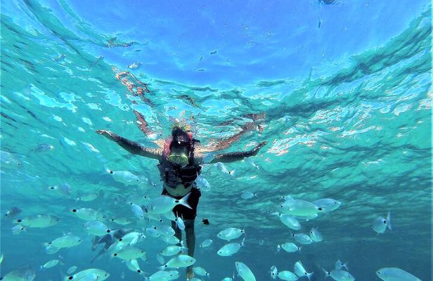 Ibiza Snorkeling Beach and Cave Tour