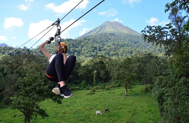 Zipline and Tarzang Swing Experience in San Carlos