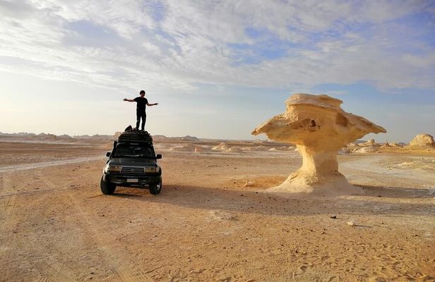 Camping in the White & Black Desert ( Bahariya Oasis) & Cairo Private transfer